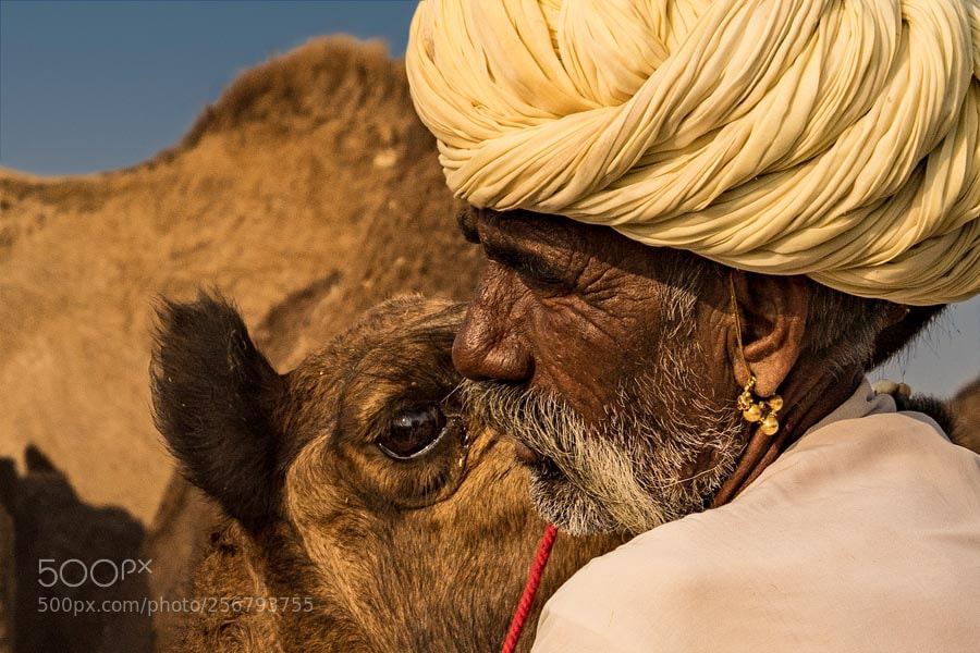 Sony a7 sample photo. Pushkar mela. rajasthan photography