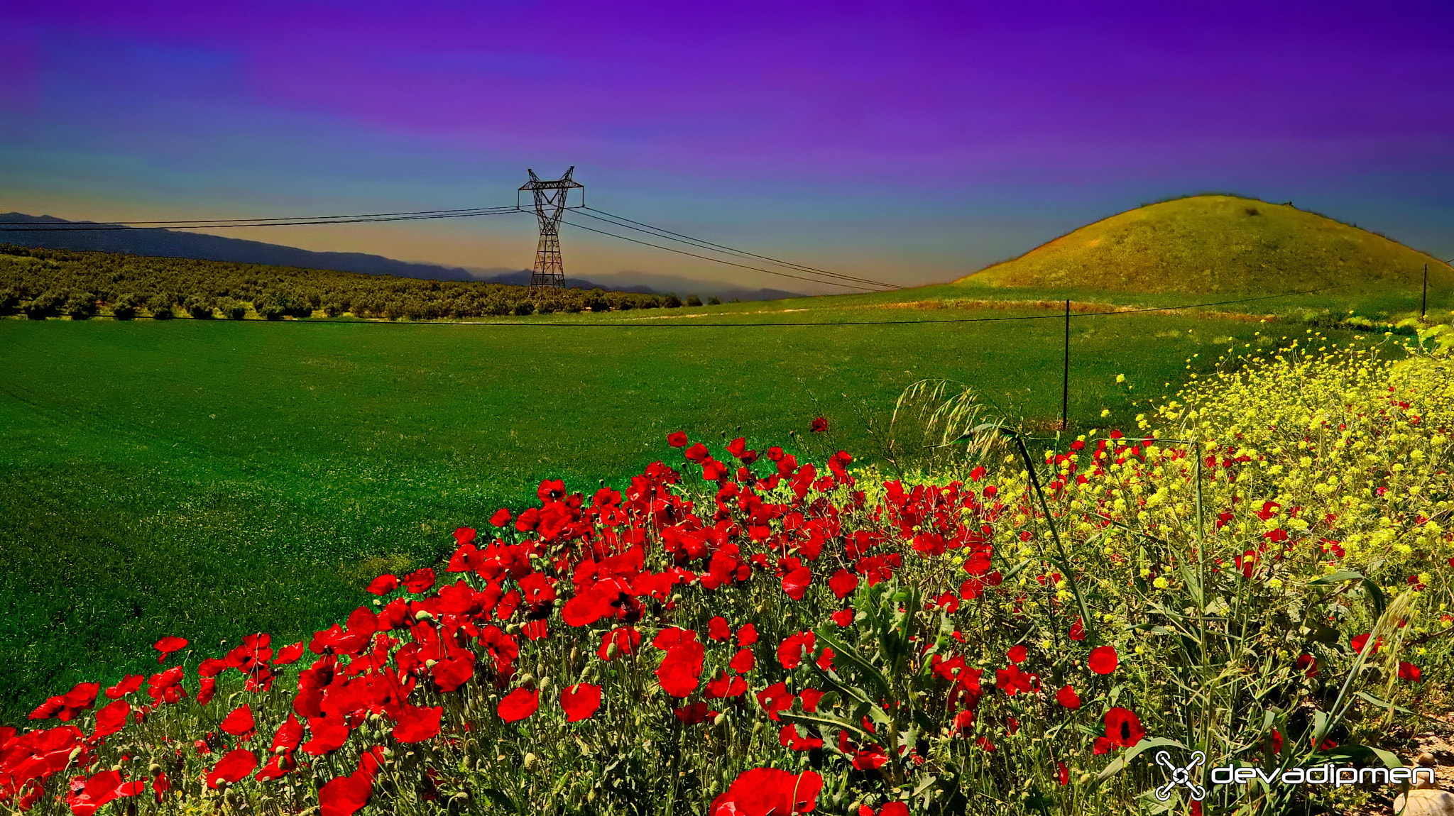 Canon EOS 6D Mark II + Canon EF 16-35mm F2.8L II USM sample photo. Nature's energy / 060518047 photography