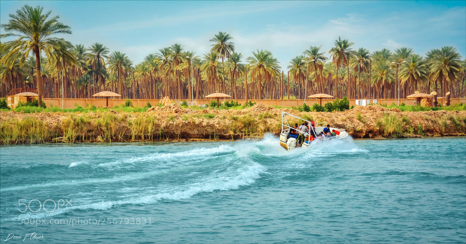 Nikon D7100 sample photo. Nature of iraq photography