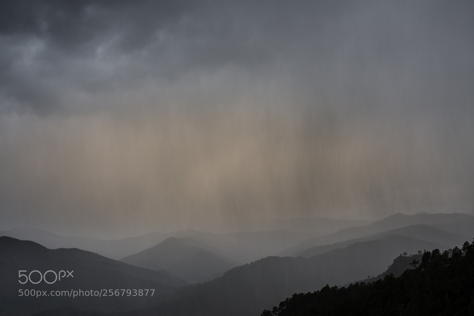 Nikon D600 sample photo. Pluie sur les c photography