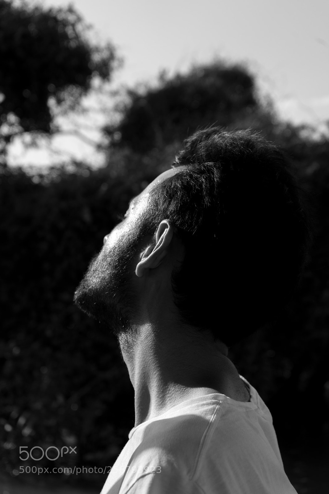 Sony a7 sample photo. Vlad in sunlight photography