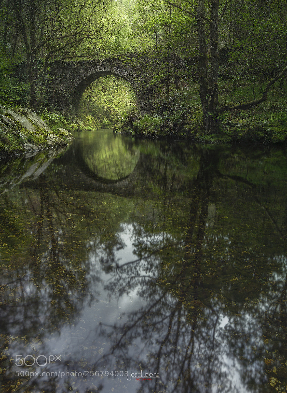 Canon EOS 5D Mark II sample photo. Roman bridge photography