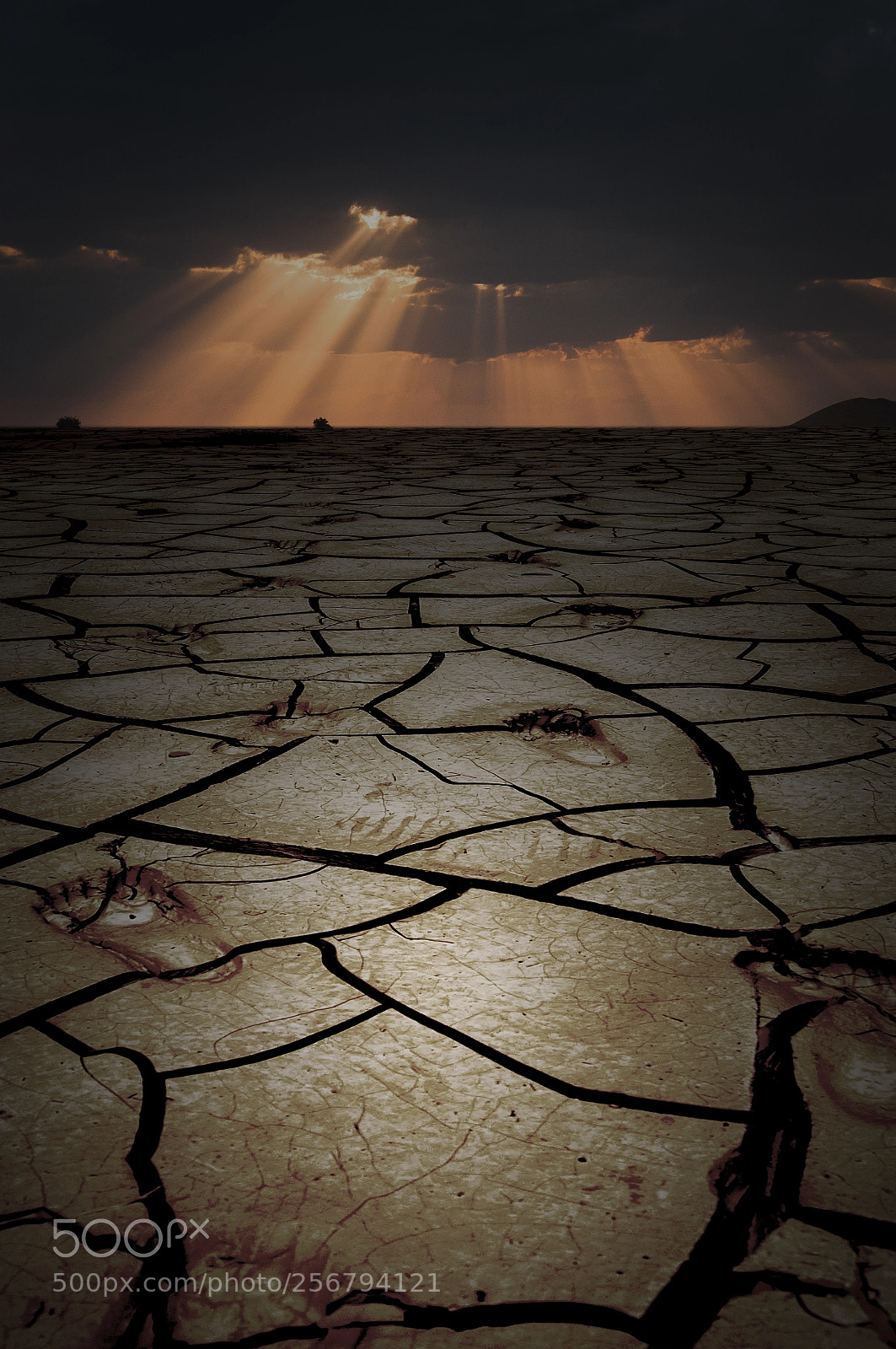 Nikon D90 sample photo. Dry land photography