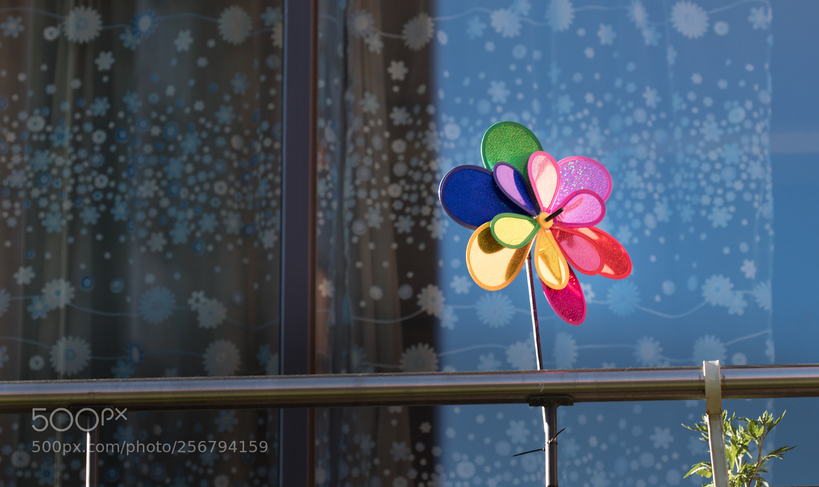 Canon EOS 80D sample photo. Untitled photography