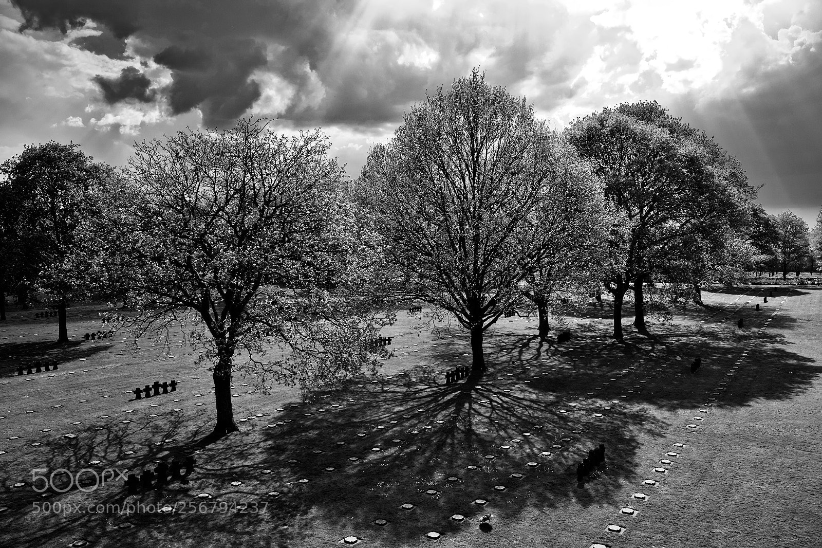 Canon EOS 700D (EOS Rebel T5i / EOS Kiss X7i) sample photo. Les gardiens du temple photography