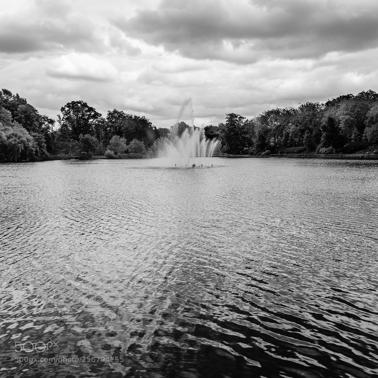 Nikon D7100 sample photo. No title photography