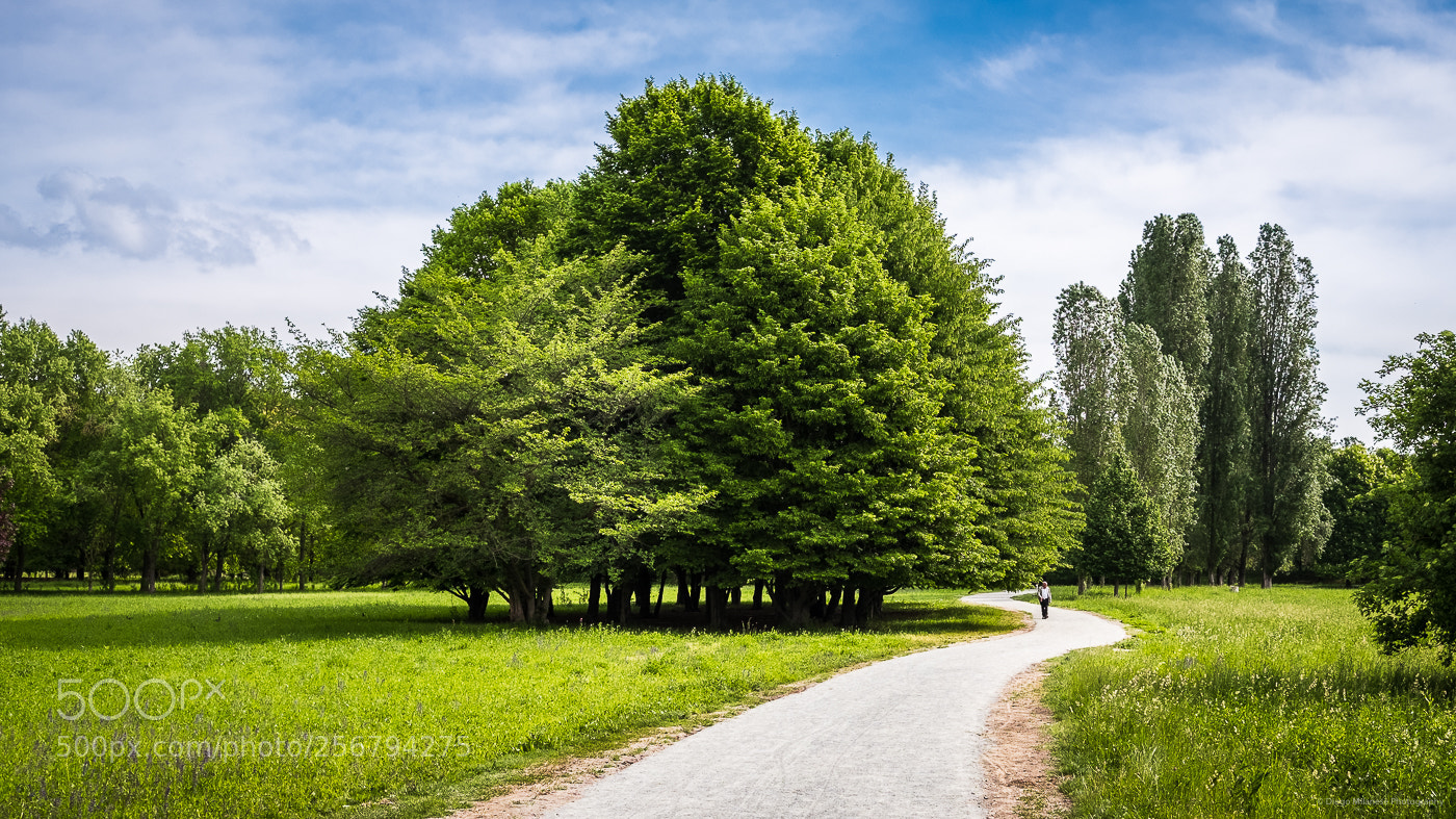 Fujifilm X-T20 sample photo. Springtime photography