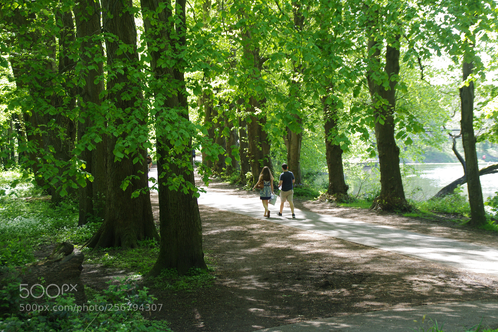 Pentax K-5 sample photo. Summer in butepark photography