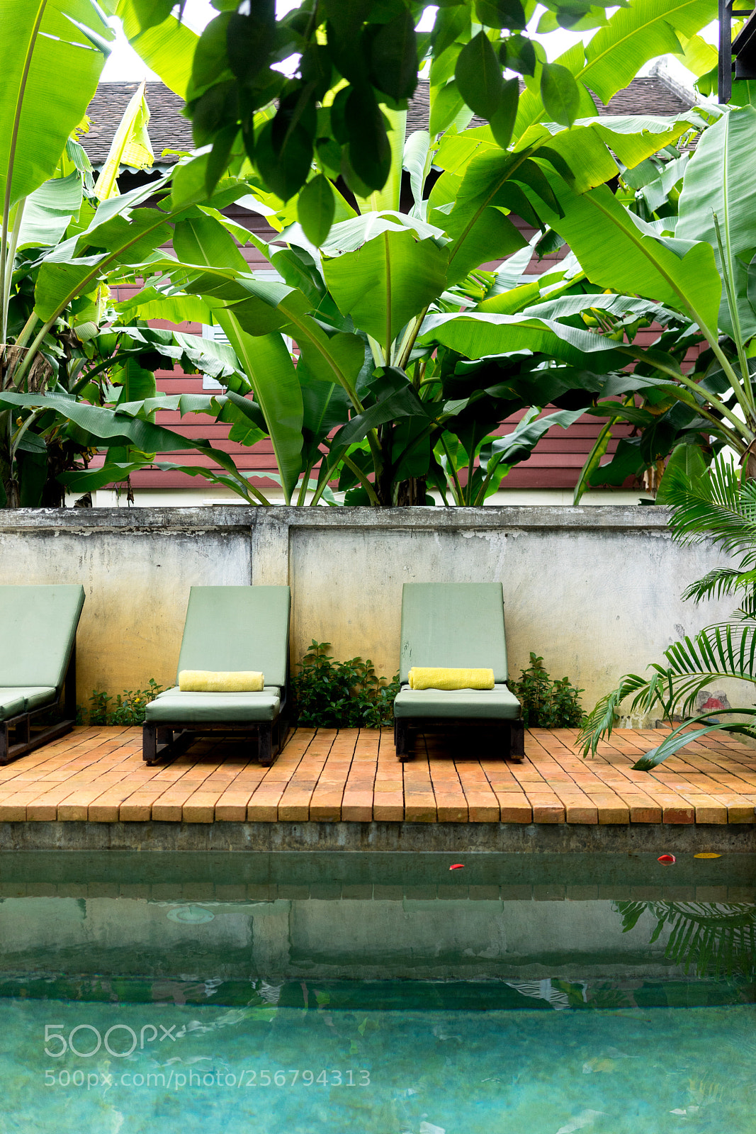 Sony a7 sample photo. Poolside photography