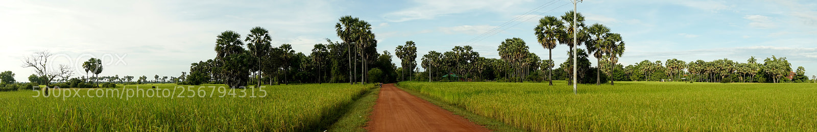 Sony a7 sample photo. Landscape #1 photography