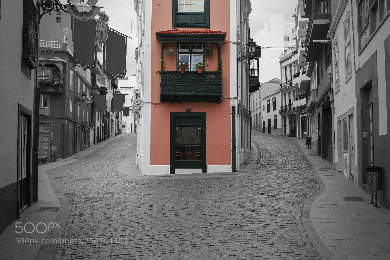 Canon EOS 700D (EOS Rebel T5i / EOS Kiss X7i) sample photo. Momento de elegir photography