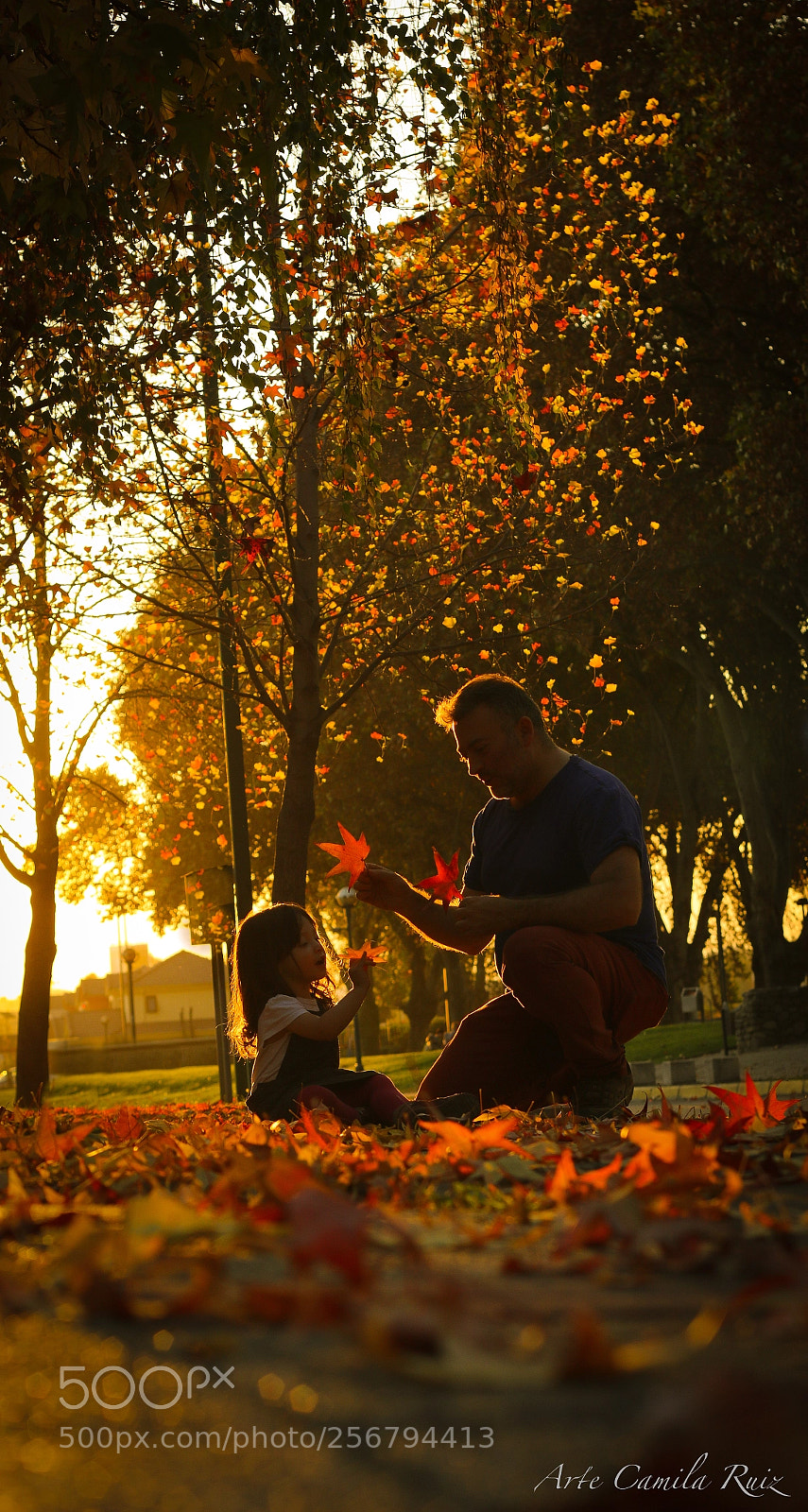 Canon EOS 70D sample photo. Autumn is in the photography