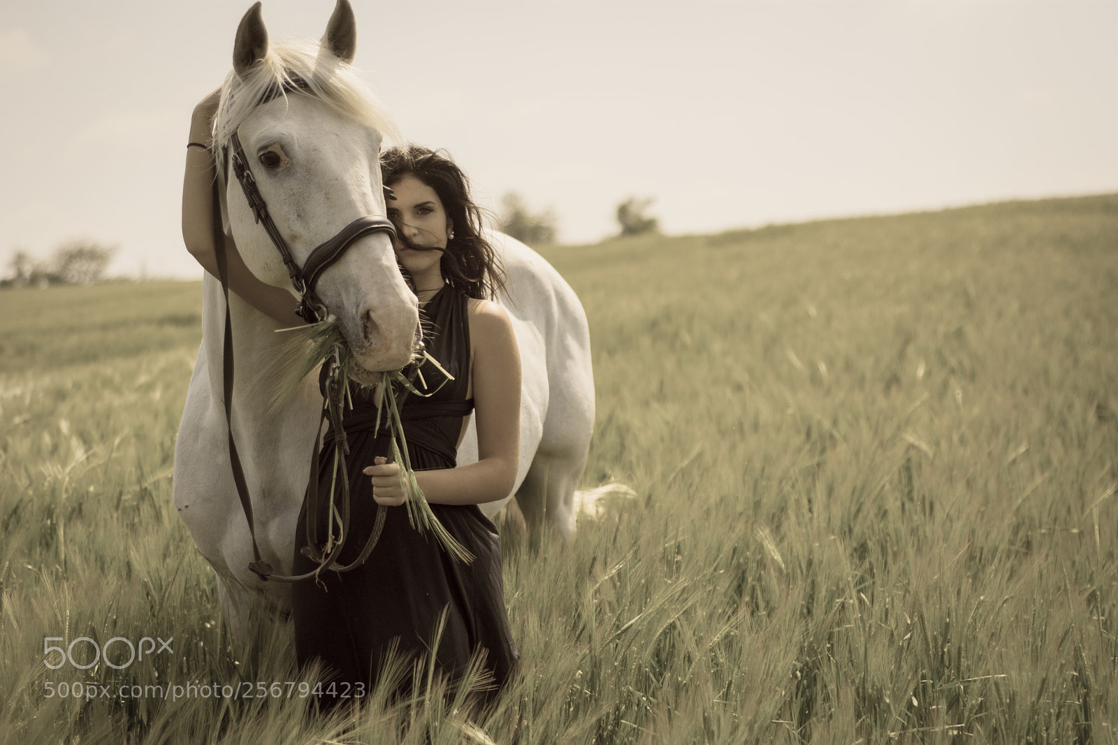 Nikon D7200 sample photo. Barbara, impérial photography