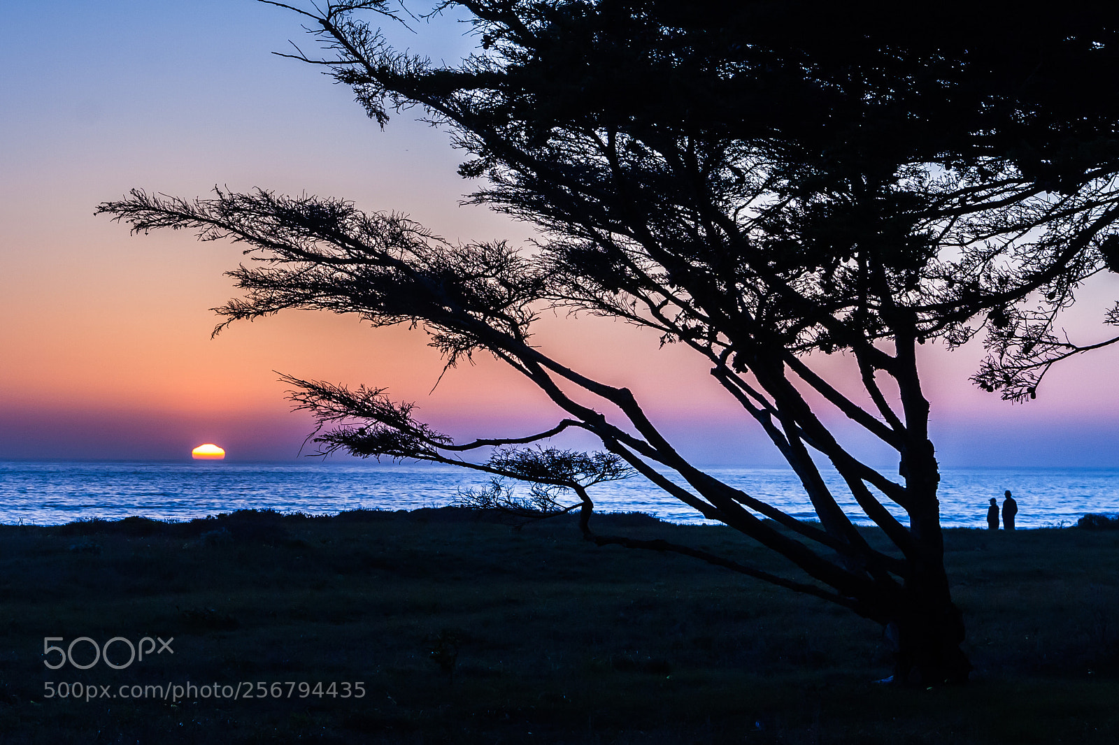 Canon EOS 40D sample photo. Cambria, moonstone beach. ca photography