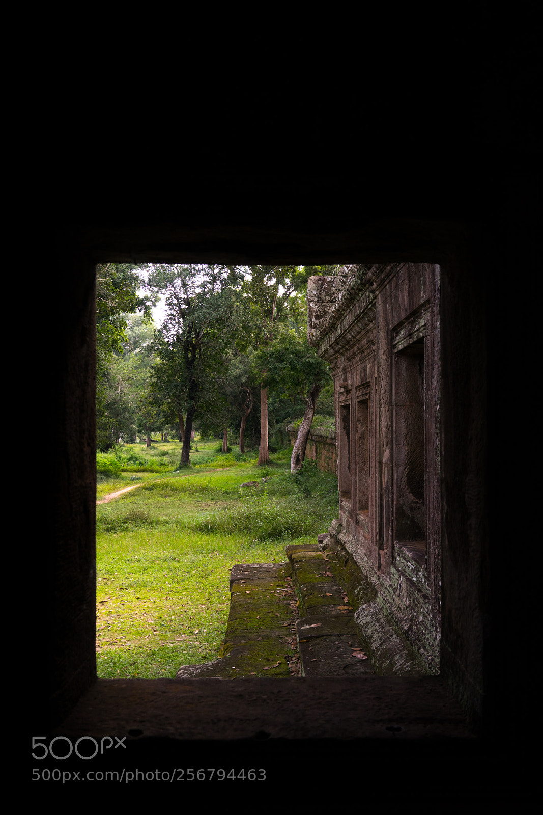 Sony a7 sample photo. Frame photography