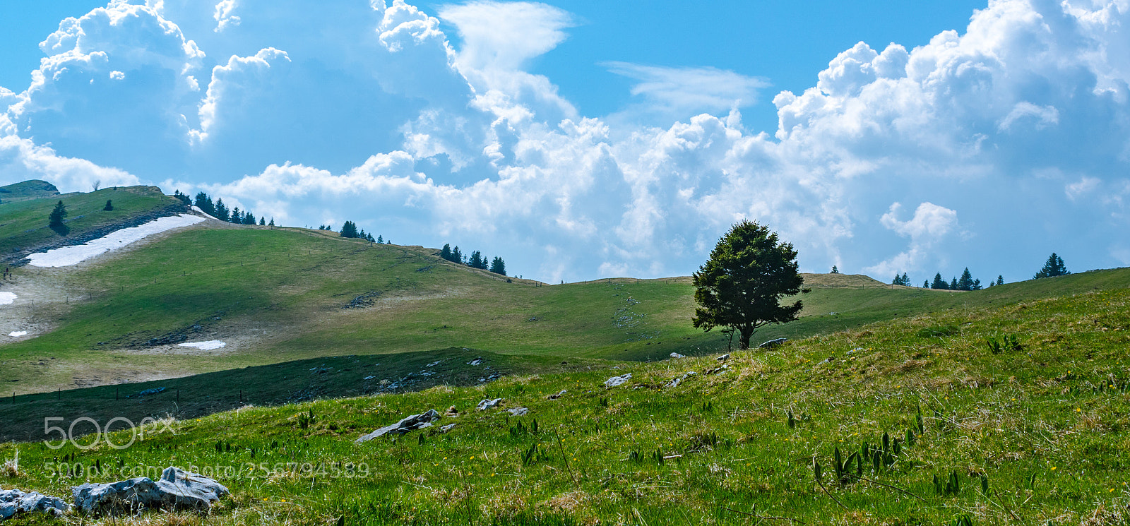 Canon EOS 1300D (EOS Rebel T6 / EOS Kiss X80) sample photo. Le chasseron photography