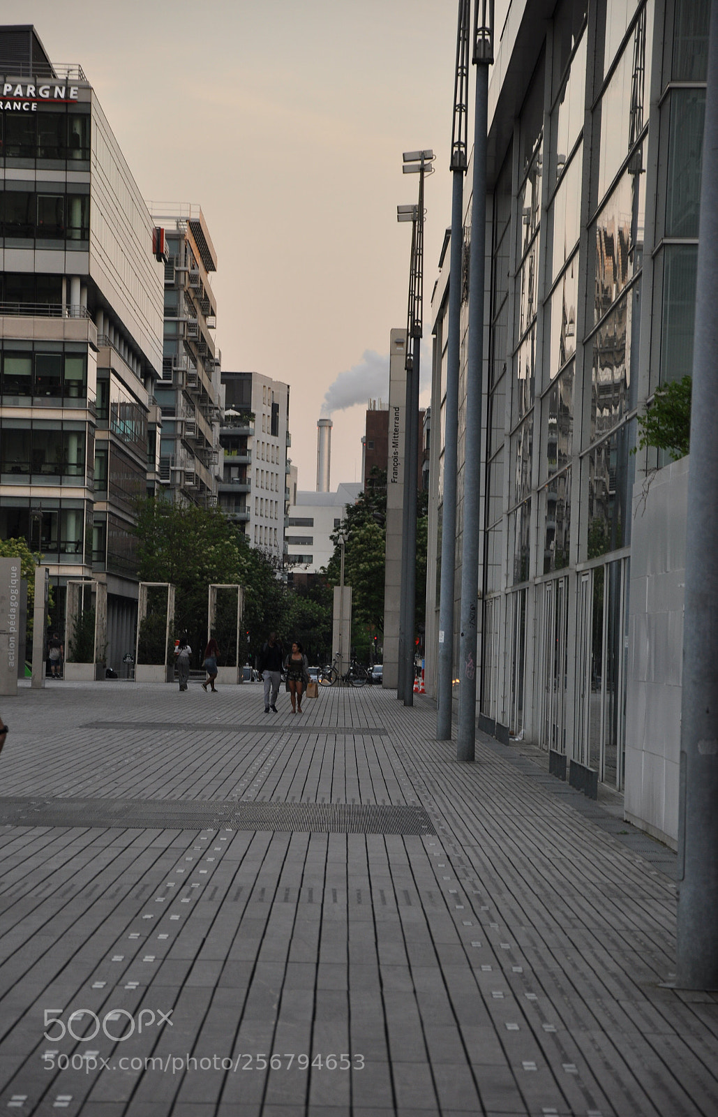 Nikon D90 sample photo. Quartier de la biblioth photography