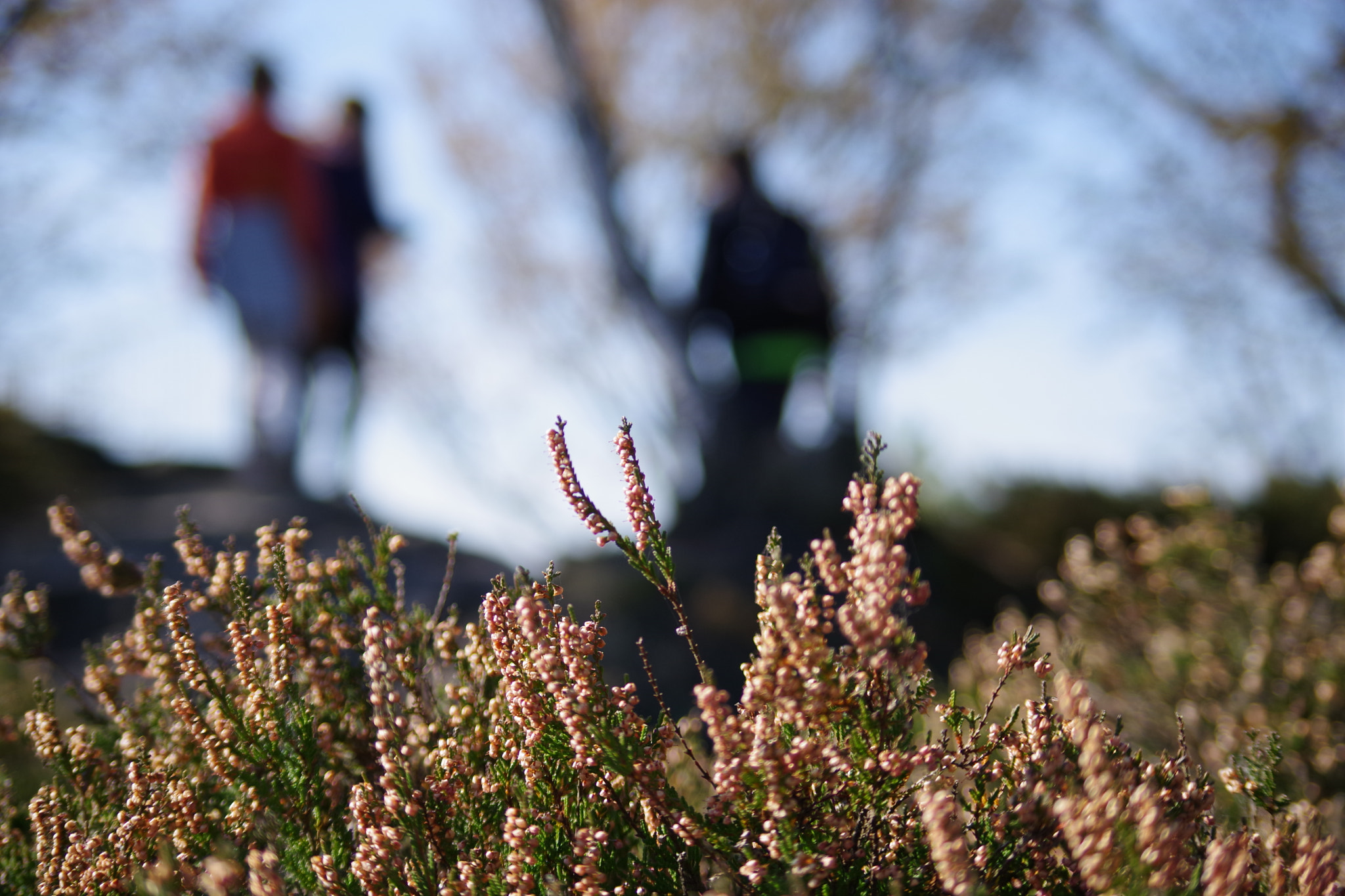 Pentax K-70 sample photo. Autumn in tisá photography