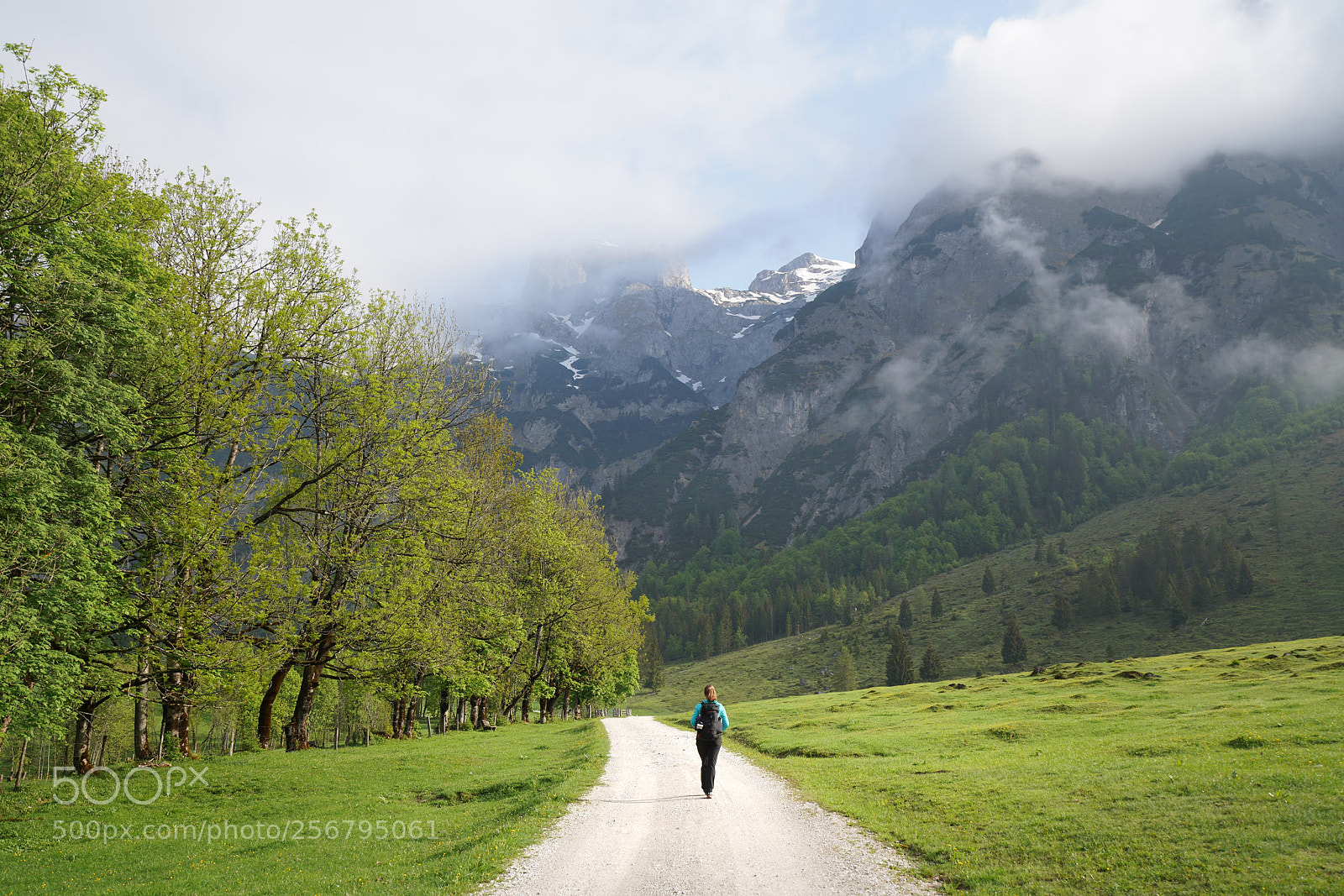 Sony a7R III sample photo. Untitled photography