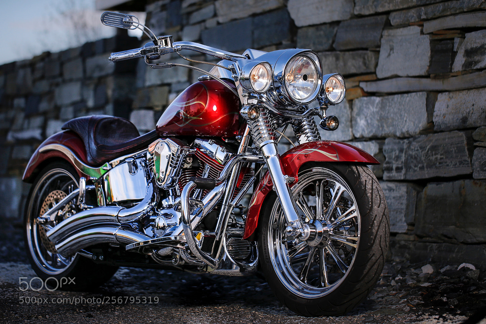 Canon EOS-1D X sample photo. Hd fat boy photography