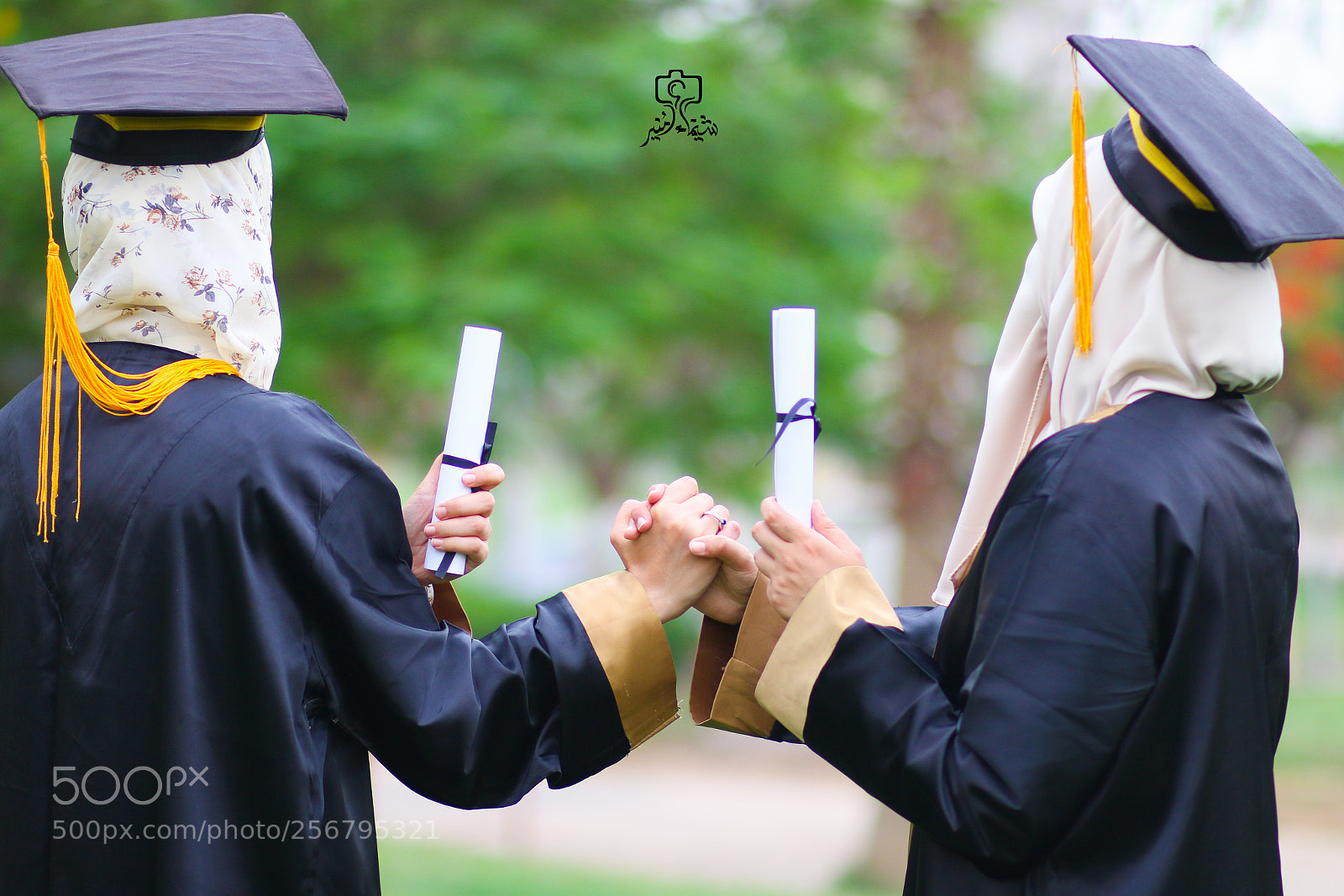 Canon EOS 70D sample photo. Untitled photography