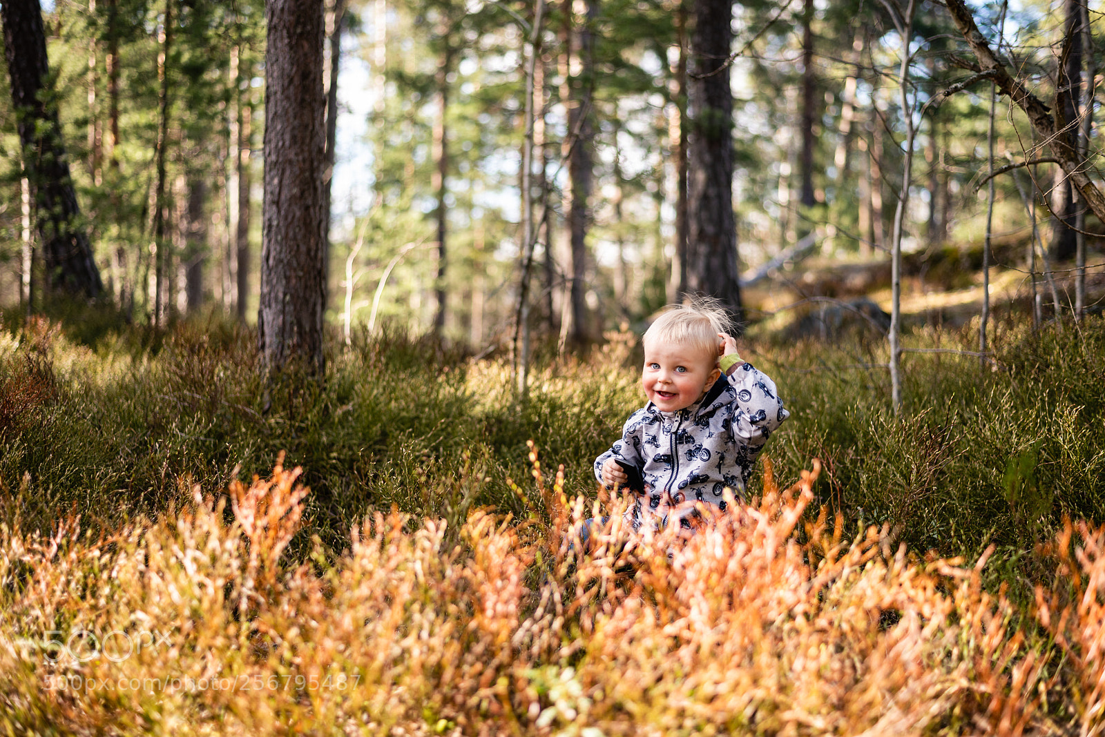 Nikon D750 sample photo. Innocence photography