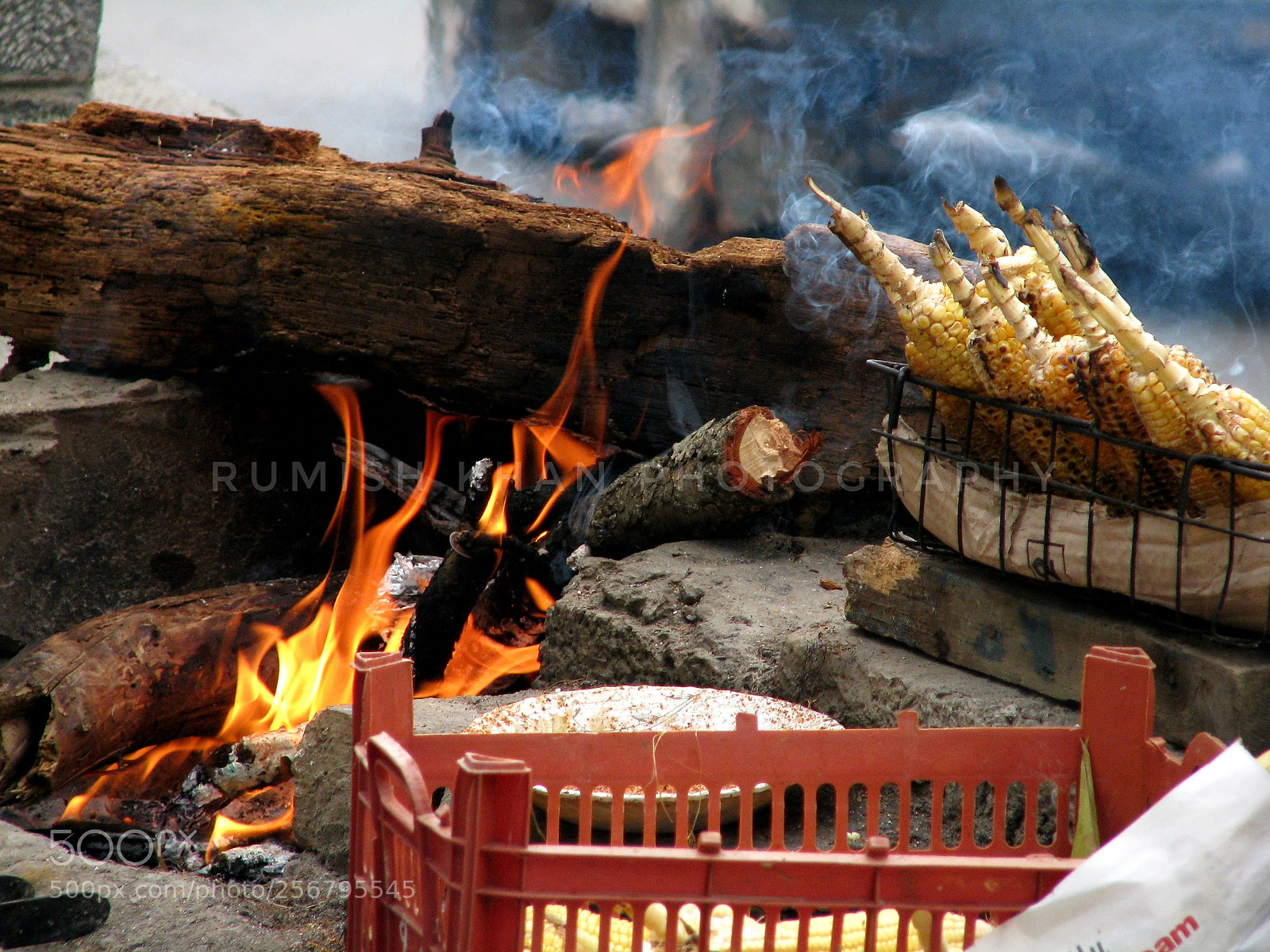 Canon POWERSHOT S5 IS sample photo. Untitled photography