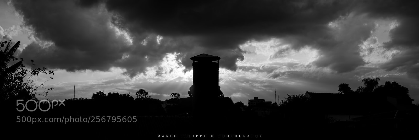 Sony a7S II sample photo. Noir #99 photography