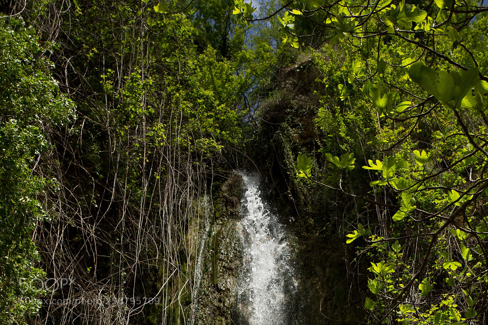 Canon EOS 6D sample photo. Source photography