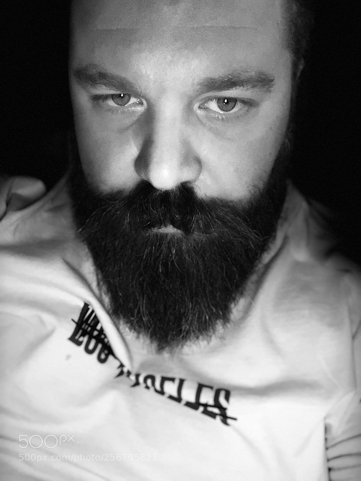 Apple iPhone X sample photo. Untitled photography
