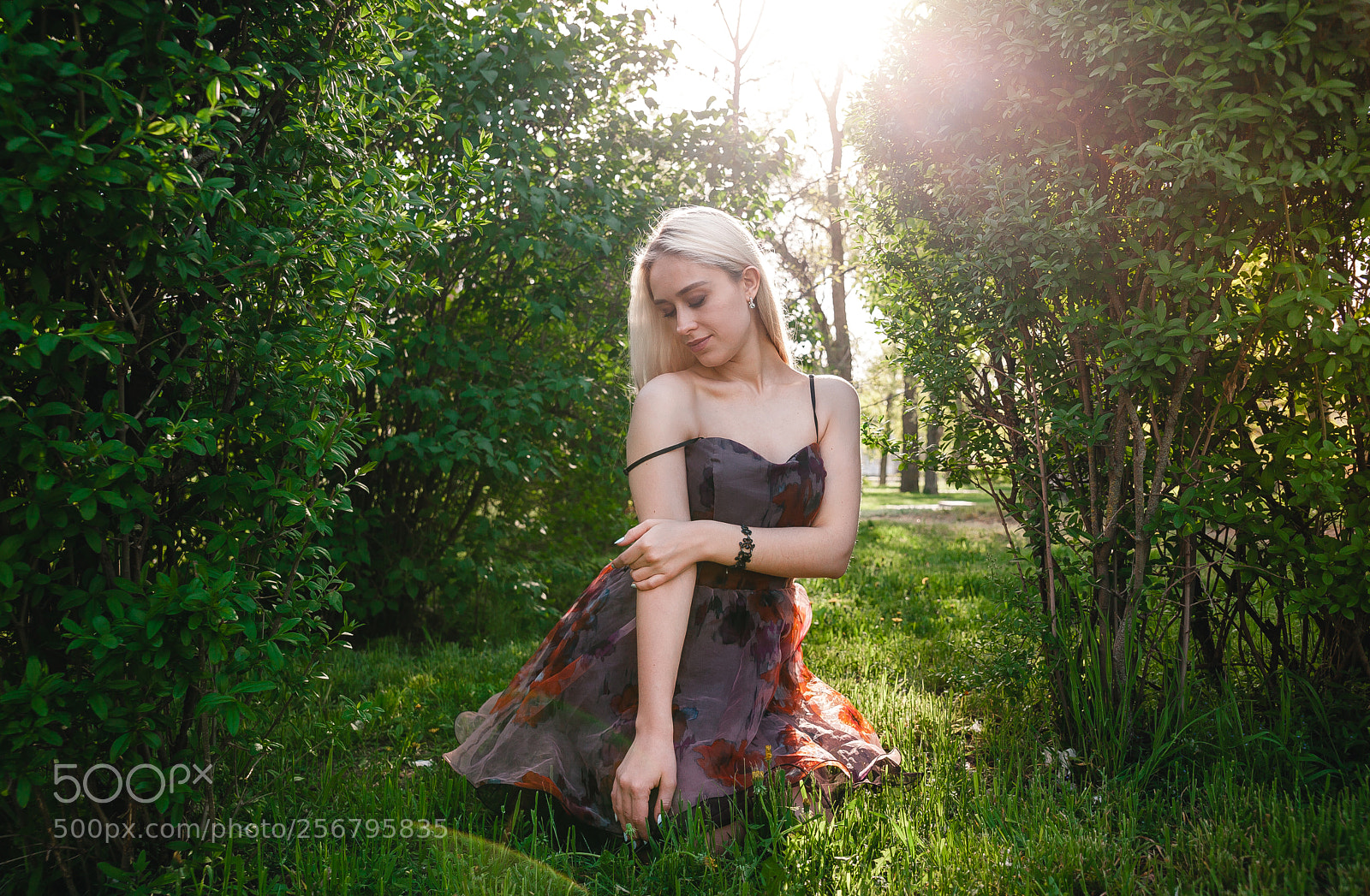Canon EOS 5D Mark II sample photo. Img photography