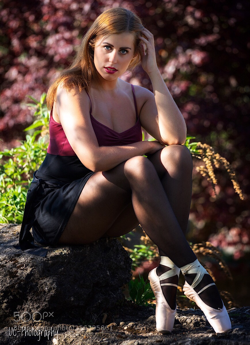 Sony a7 II sample photo. Untitled photography