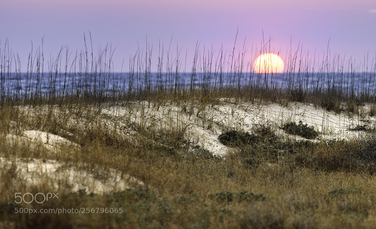 Canon EOS 5D Mark II sample photo. Gulf coast sunset photography