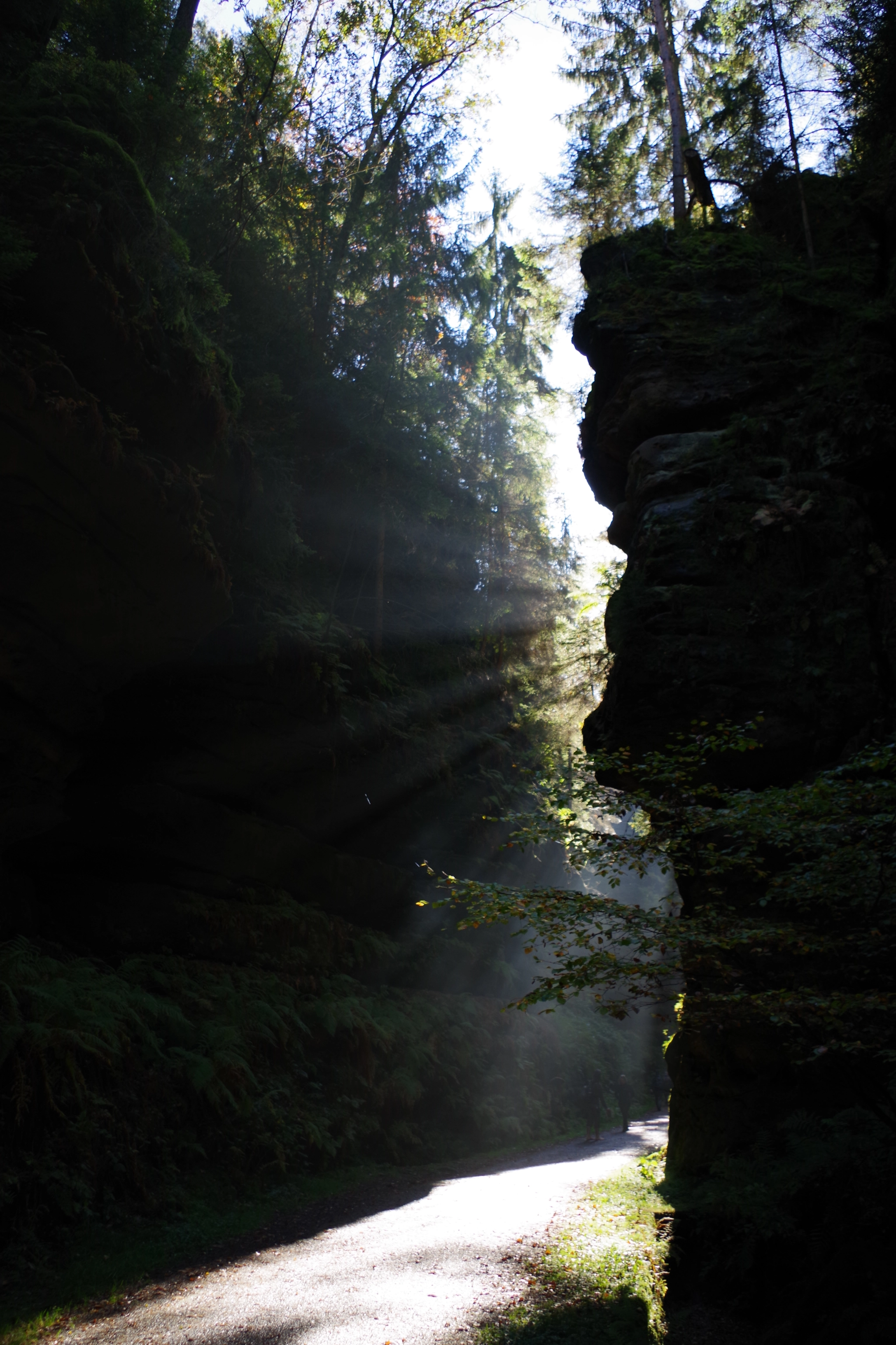 Pentax K-70 sample photo. Steam and sun photography