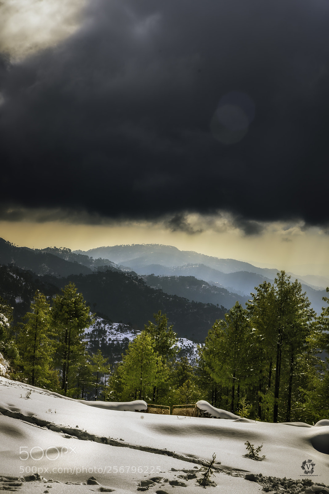 Nikon D750 sample photo. Patriata photography