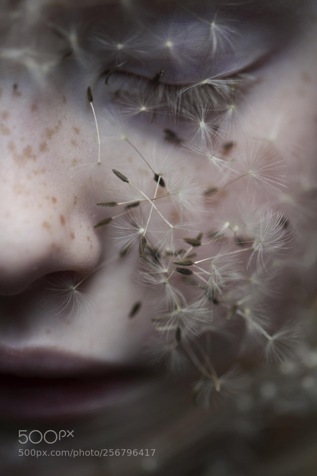 Canon EOS 5D Mark II sample photo. ''blind intuition'' photography