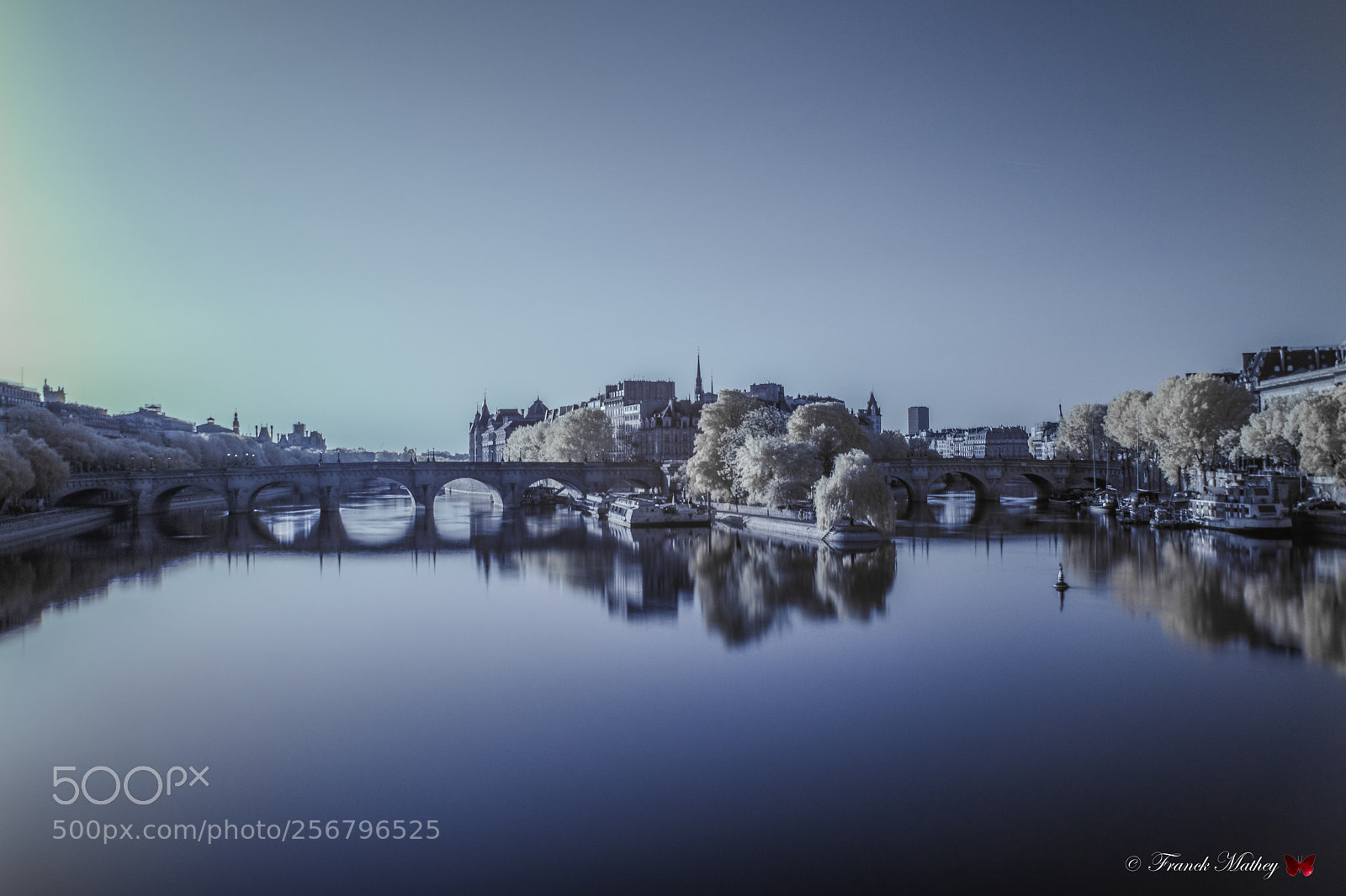 Nikon D850 sample photo. Le pont-neuf vu depuis photography
