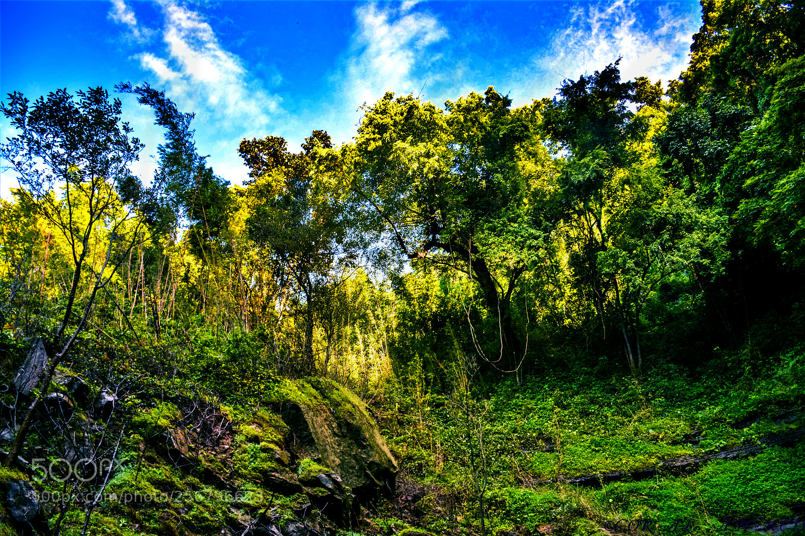 Nikon D7100 sample photo. Landscape photography