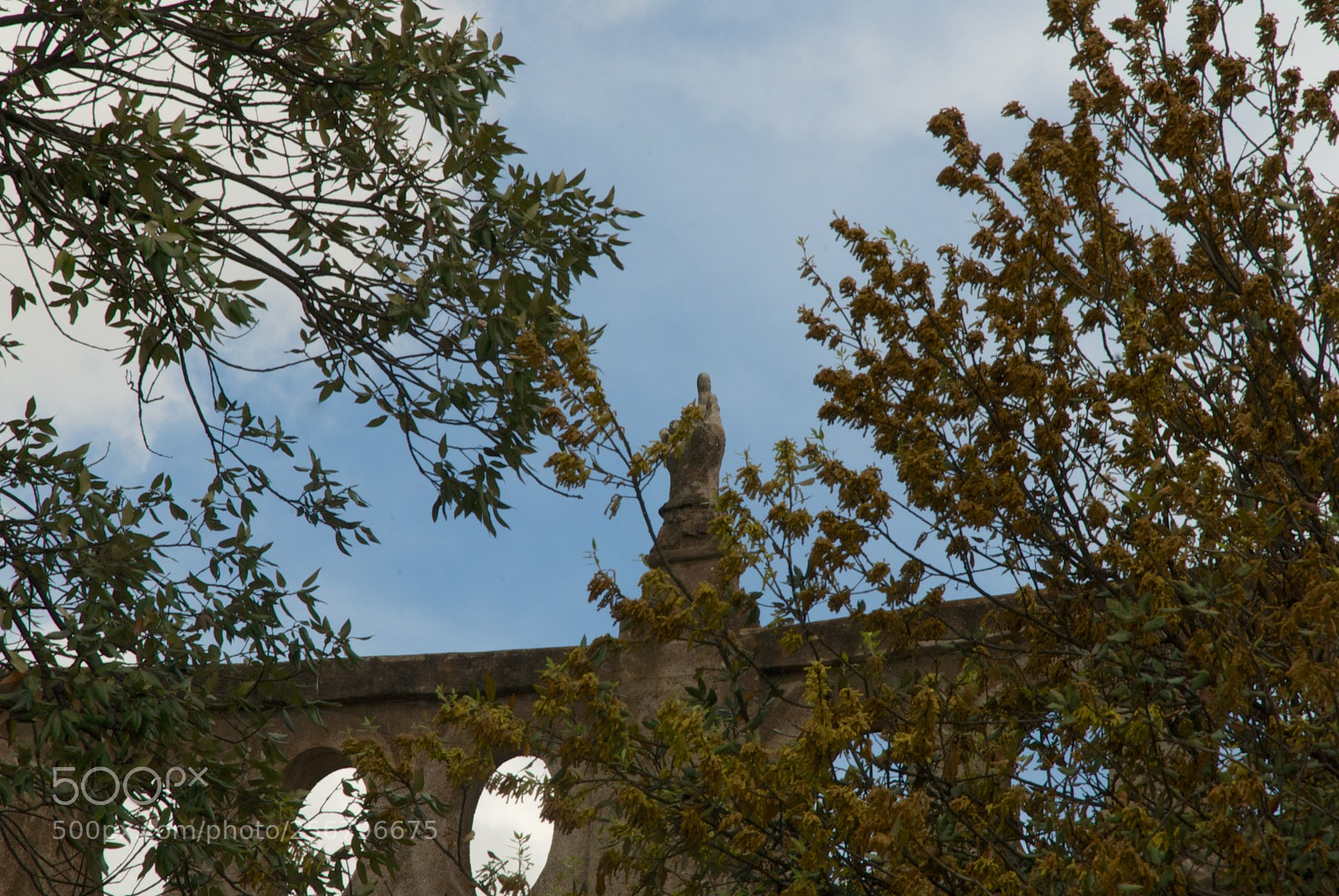 Nikon D60 sample photo. Circo massimo photography