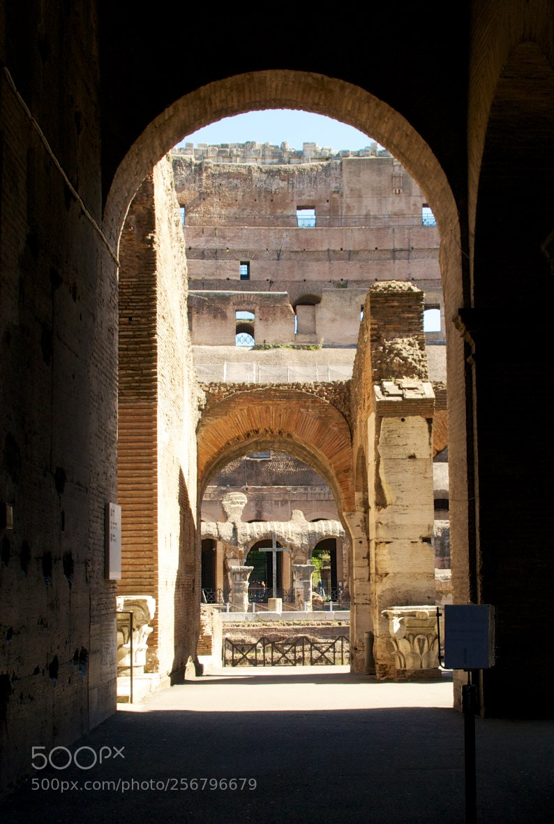 Nikon D60 sample photo. Colosseo interno photography