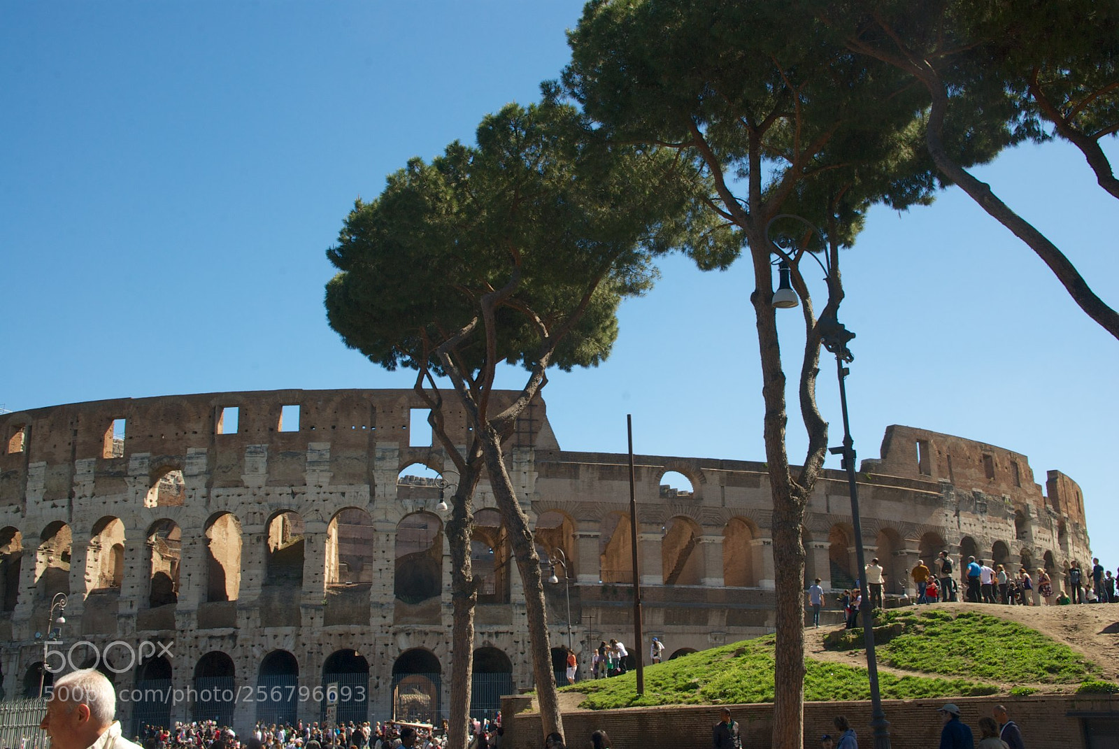 Nikon D60 sample photo. Colosseo photography