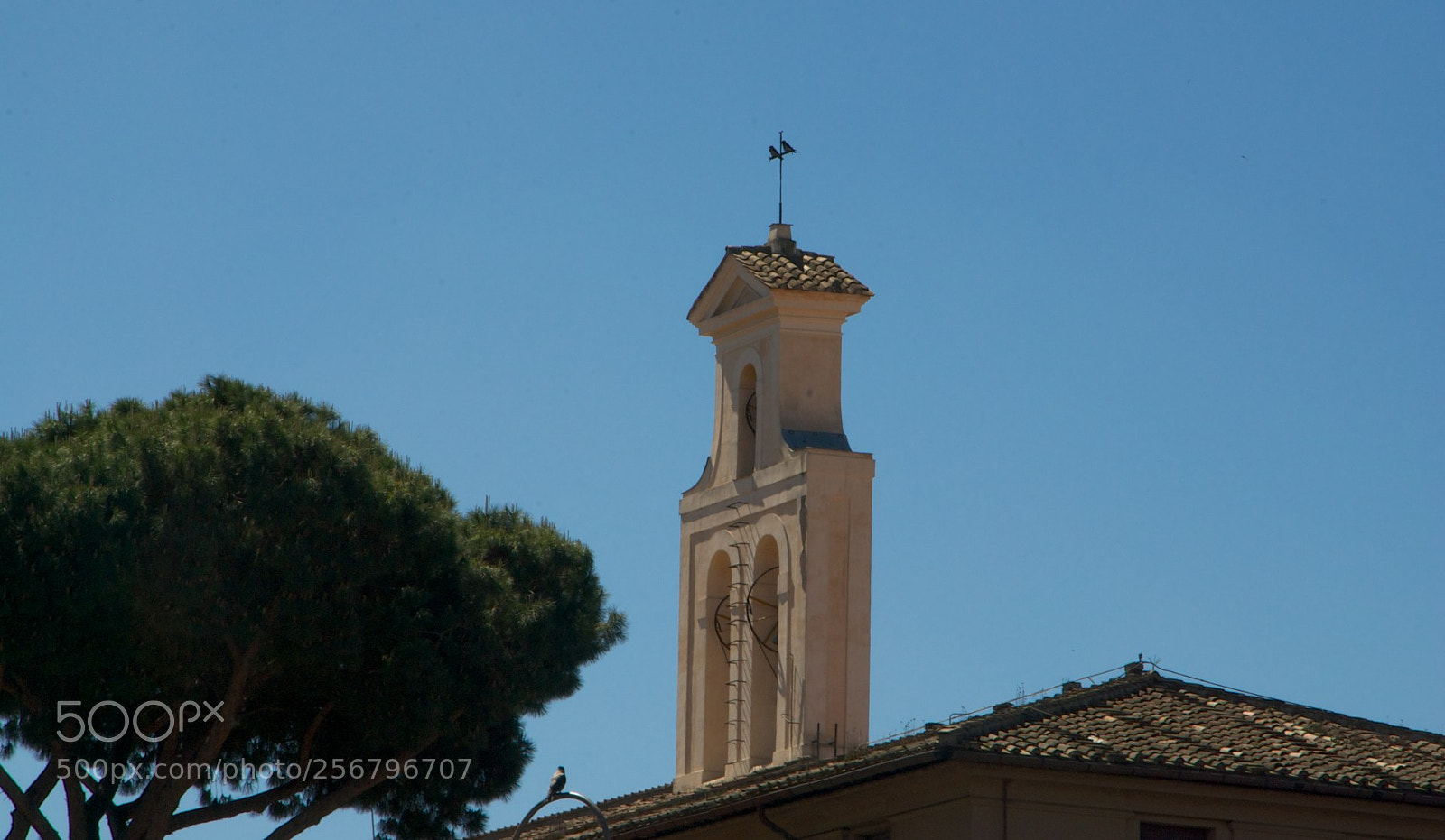 Nikon D60 sample photo. Version photography