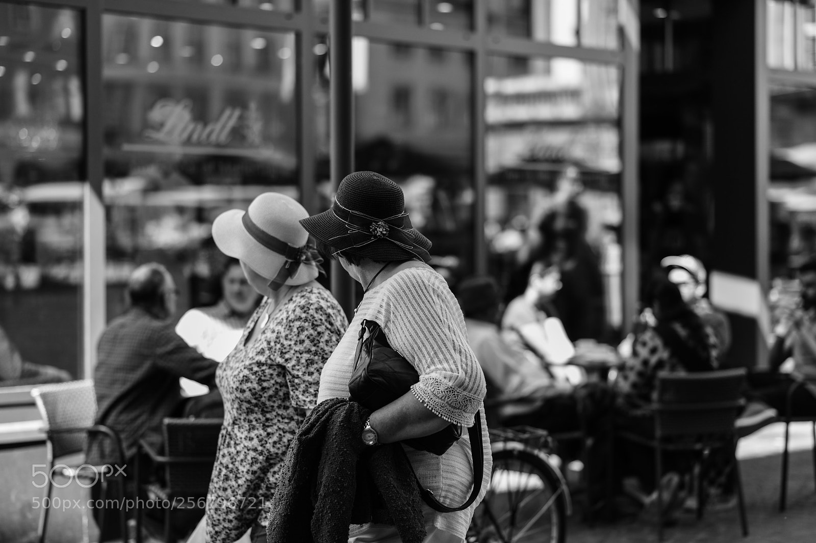 Nikon D850 sample photo. Untitled photography