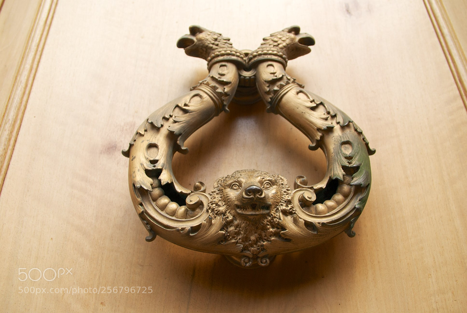 Nikon D60 sample photo. Version photography