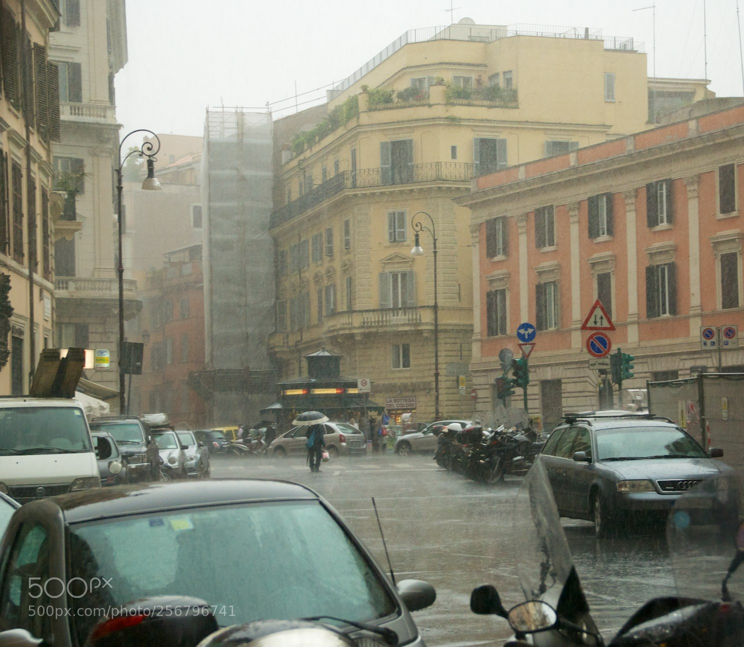 Nikon D60 sample photo. Version photography