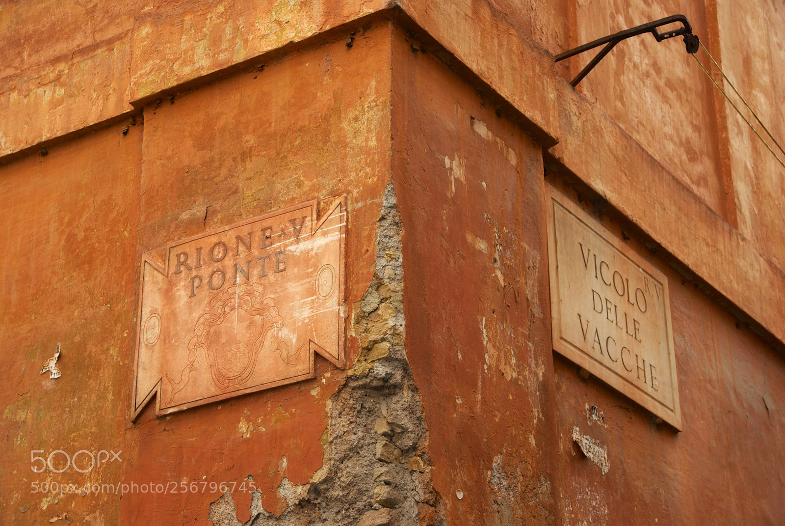 Nikon D60 sample photo. Version photography
