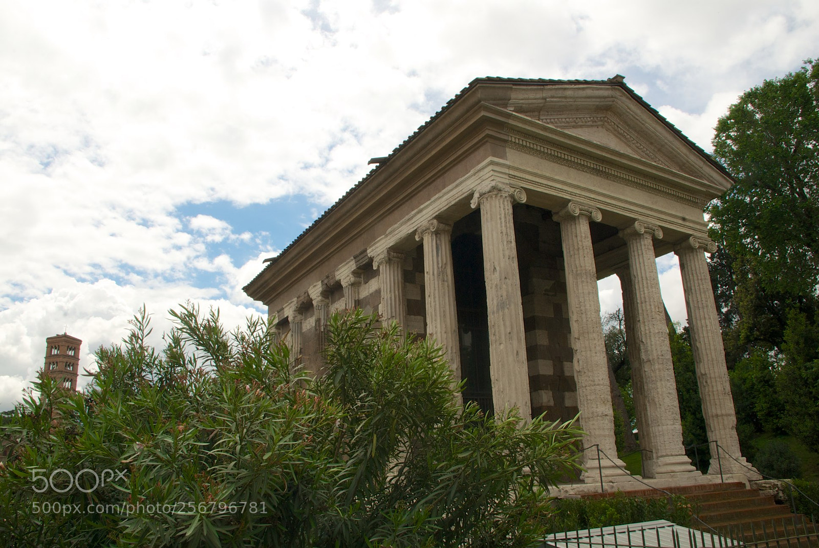 Nikon D60 sample photo. Version photography