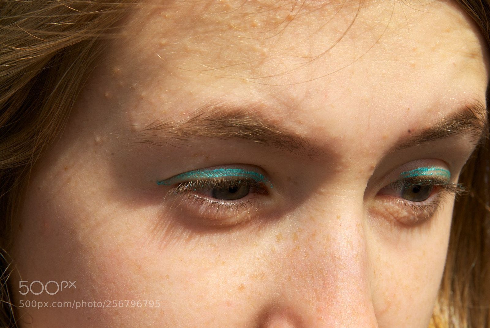 Nikon D60 sample photo. Version photography