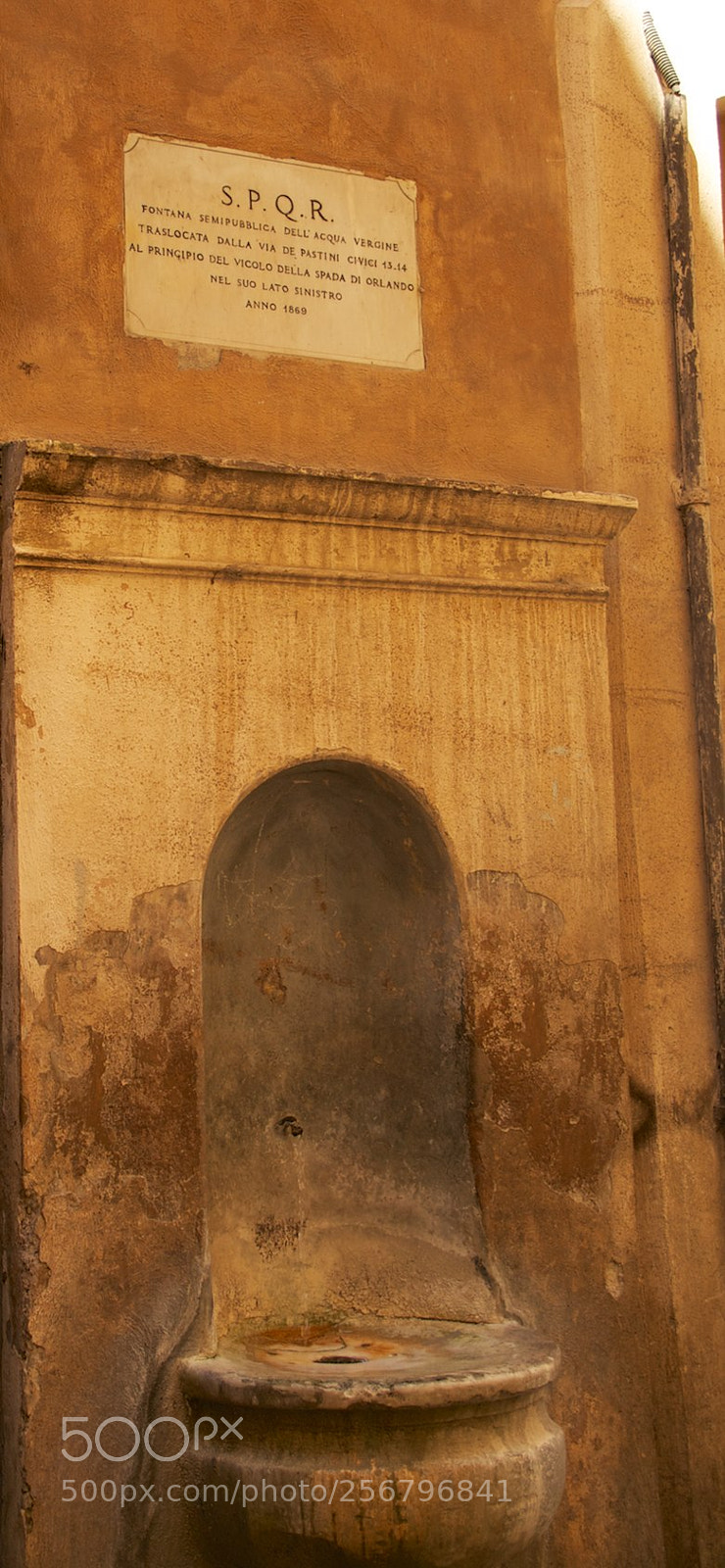 Nikon D60 sample photo. Version photography