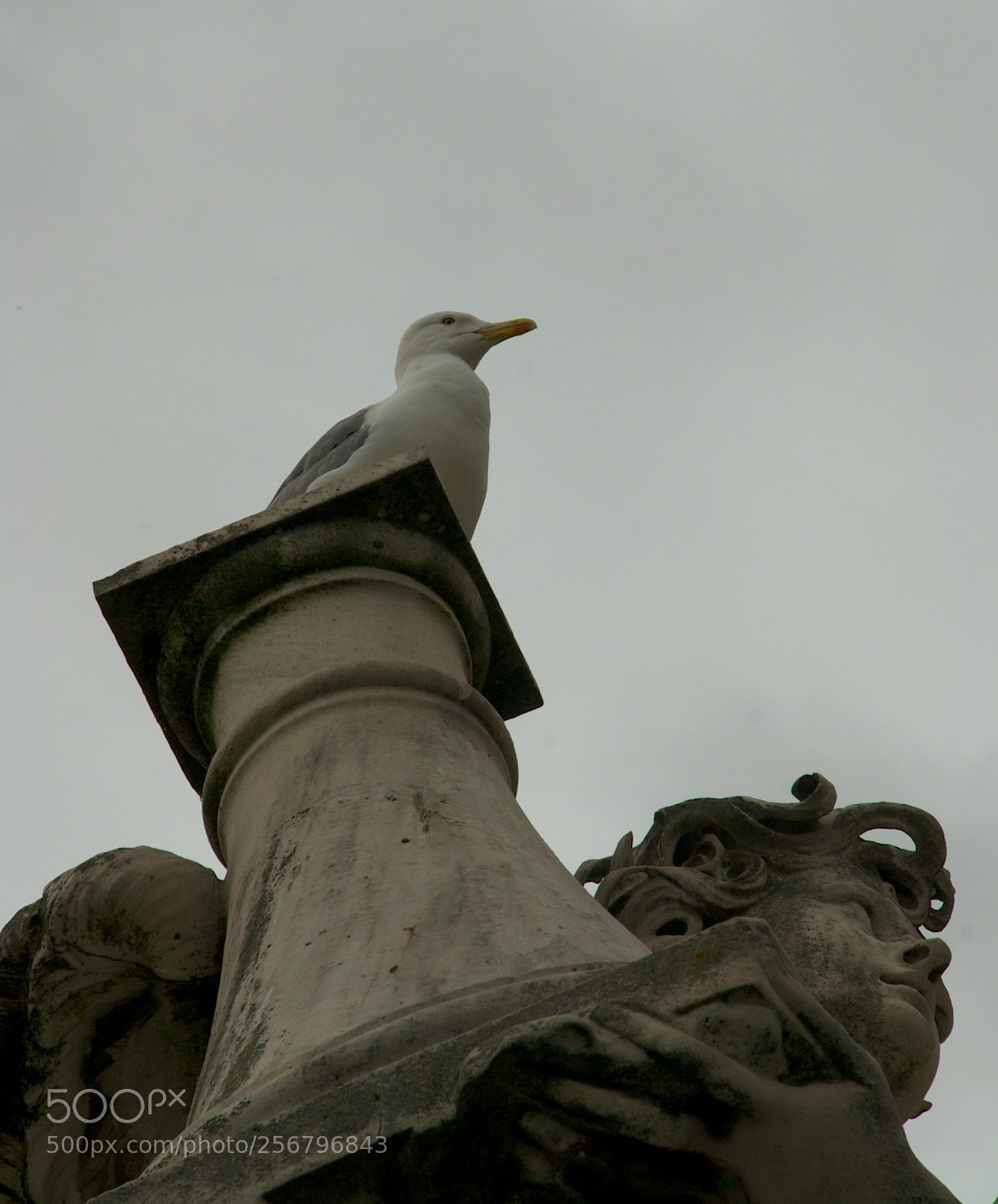 Nikon D60 sample photo. Version photography